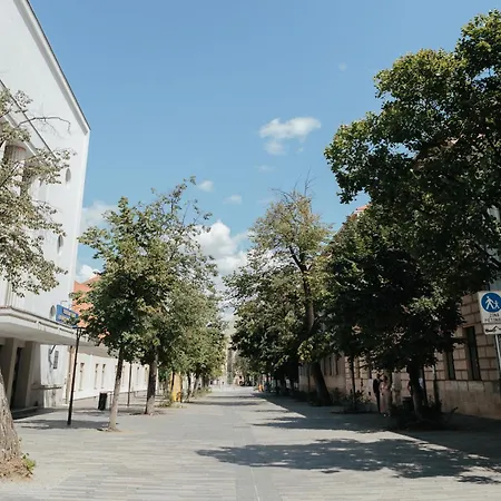 Contessa Apartment Cluj-Napoca