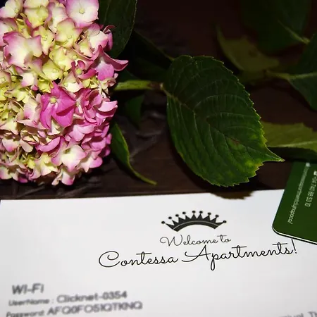 Contessa Apartment