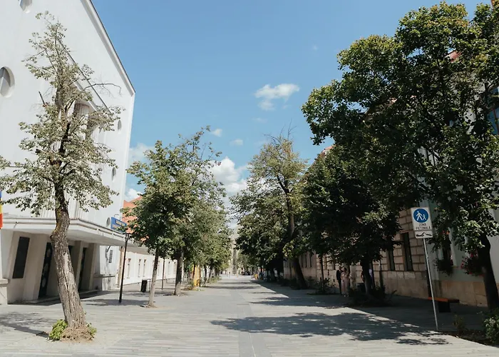 Contessa Apartament Cluj-Napoca